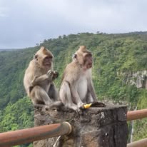 Private tour stop at Mauritius lagoon viewpoint