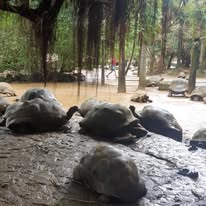 Guests smiling in front of Mauritius lagoon