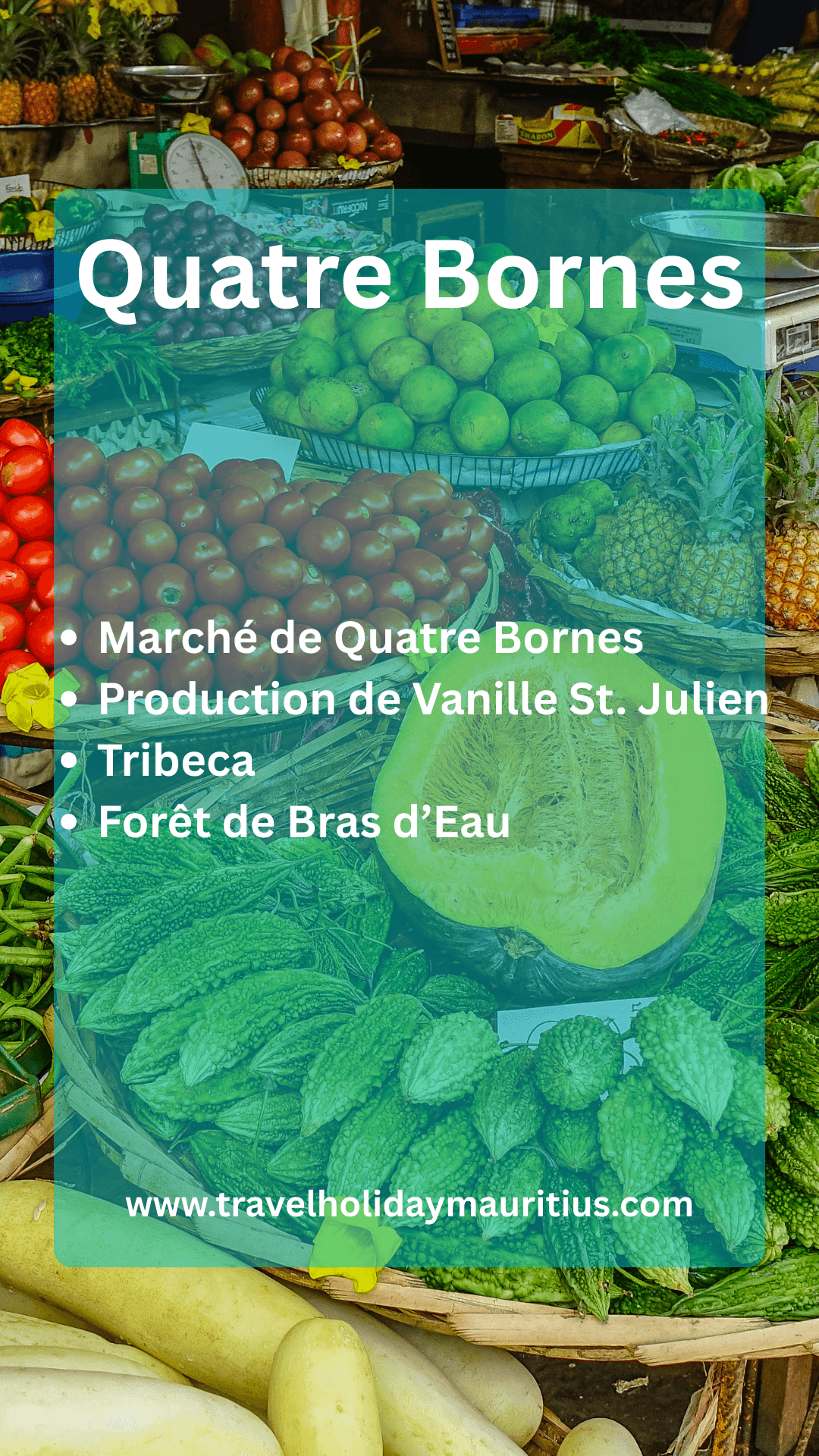 Quatre Bornes market tour in Mauritius