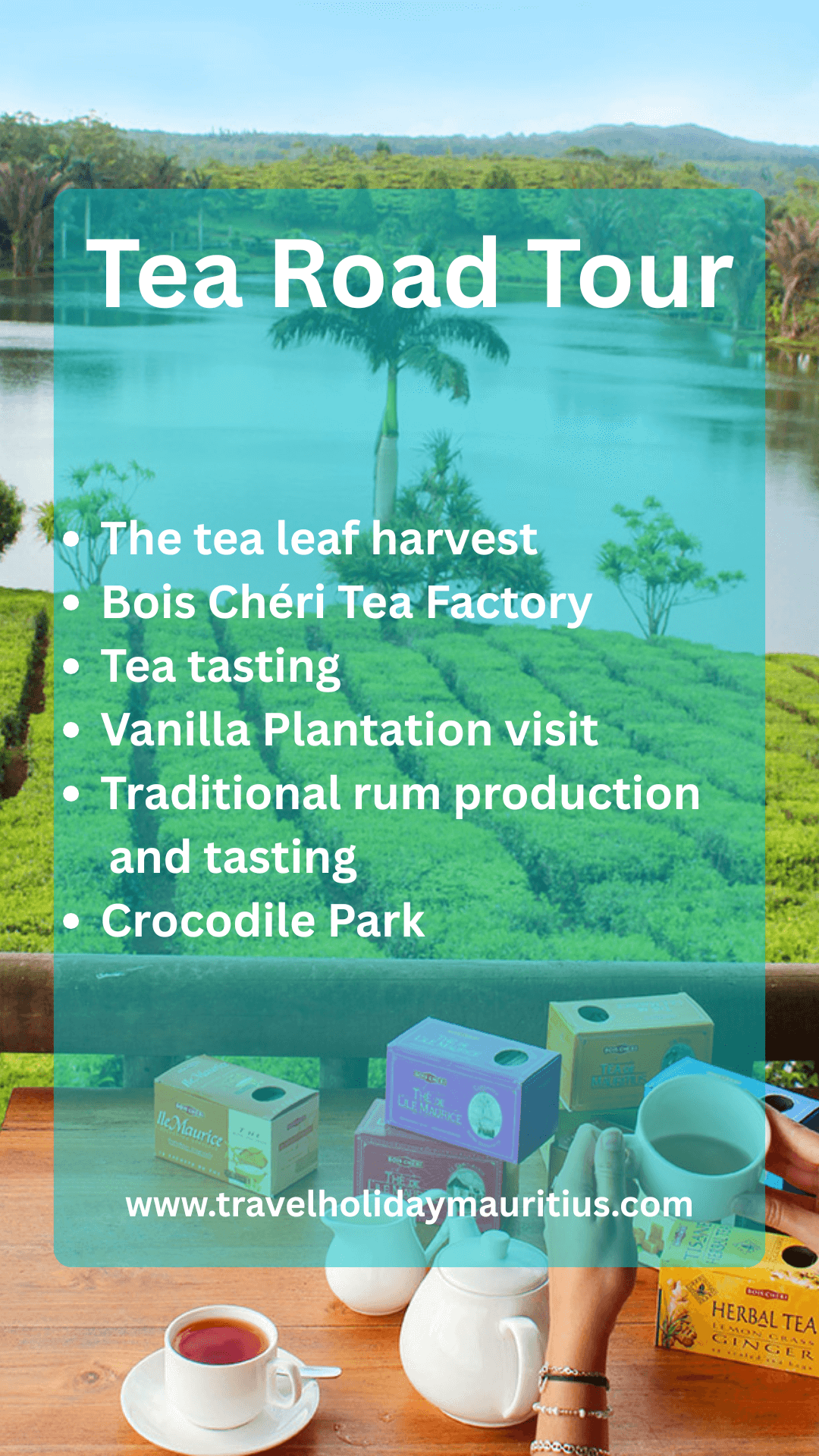Tea Road tour in Mauritius with plantations and colonial estates